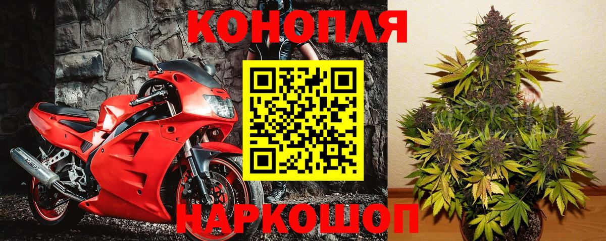 Бошки марихуана Ganja Новотроицк